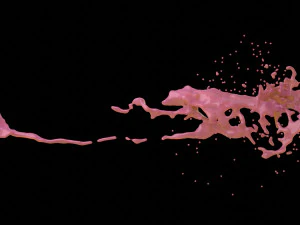 스플래시3 3D 모델