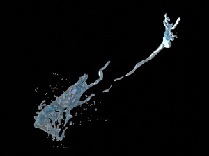 splash3 3D Model