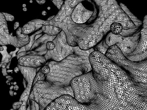 splash3 3D Model