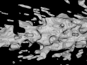 splash4 3D-Modell