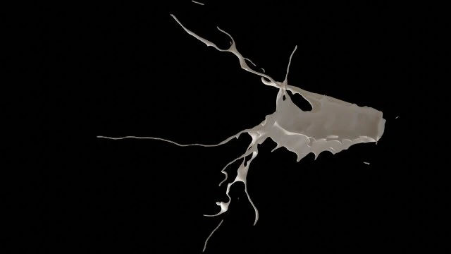 스플래시5 3D 모델 .c4d .max .obj .3ds .fbx .stl .blend 