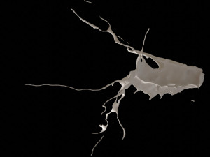 splash5 3D 모델