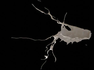 스플래시5 3D 모델