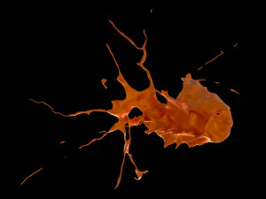 스플래시5 3D 모델