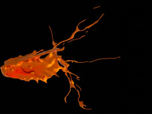 스플래시5 3D 모델