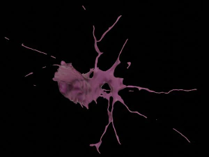 스플래시5 3D 모델