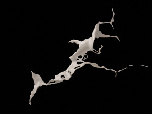 splash6 3D Model