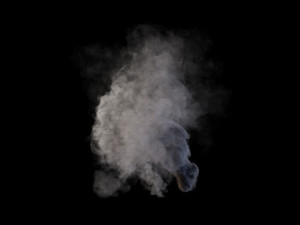 Smoke gush vdb 3D Model