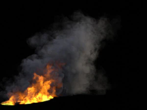 Blazing fire vdb 3D Model