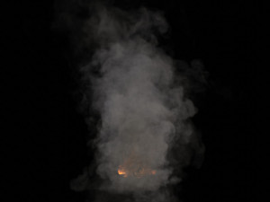 Blazing fire vdb 3D Model