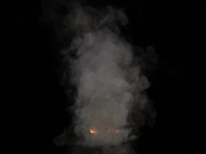 Blazing fire vdb 3D Model