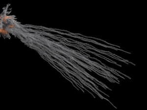 White phosphorus explosion vdb 3D Model