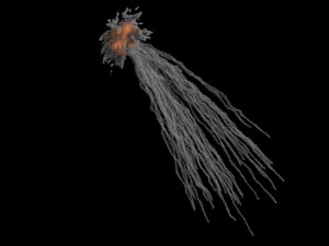 White phosphorus explosion vdb 3D Model