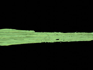 Paint Smear 1 3D Model