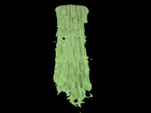 Paint Smear 1 Modelo 3D