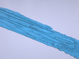 Paint Smear 1 Modelo 3D
