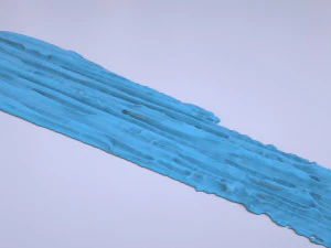 Paint Smear 1 3D Model