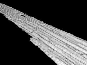 Paint Smear 1 3D Model