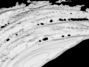 Paint Smear 2 Model 3D