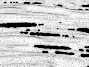Paint Smear 3 3D Модель