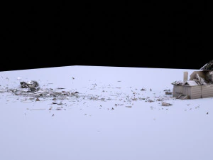 Destroyed House 3D Model
