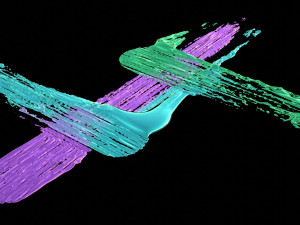 Paint Smear 4 3D 모델