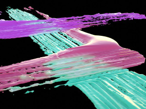 Paint Smear 4 3D 모델