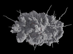 Carpet Bomb VDB Modèle 3D