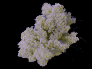 Smoke Plume VDB Model 3D