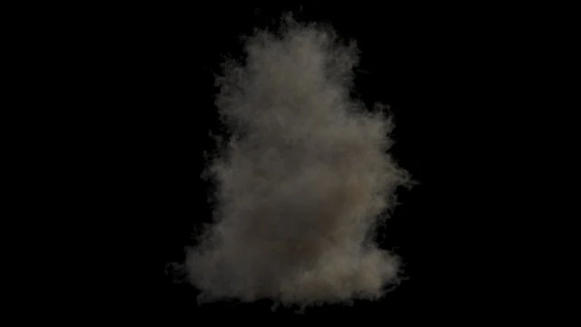 Dust 2 VDB 3D Model .c4d .max .obj .3ds .fbx .stl .blend 