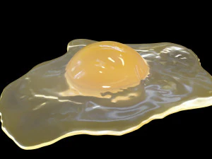 Raw Egg 3D Model