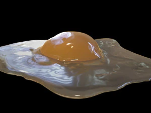 Raw Egg 3D Model