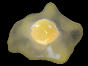 Raw Egg 3D Model