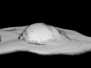 Raw Egg 3D Модель