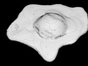 Raw Egg 3D Model