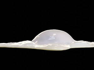 Cooked Egg 3D Model