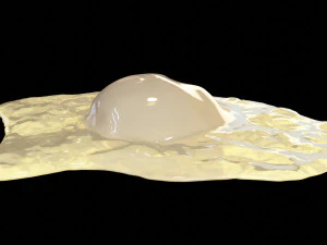 Cooked Egg 3D Model