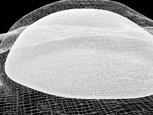 Cooked Egg 3D Model