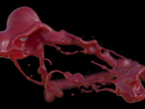 Crazy Splash 3D Model