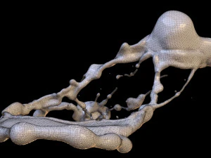 Crazy Splash 3D Model