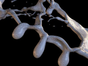 Crazy Splash 3D Model