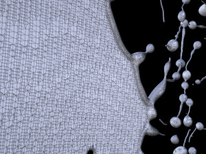 Thin Liquid Model 3D