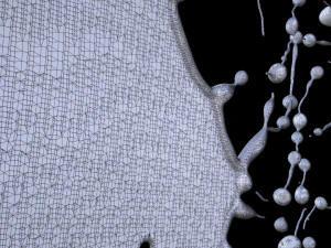 Thin Liquid 3D Model