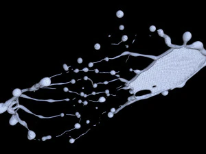 Thin Liquid 3D Model