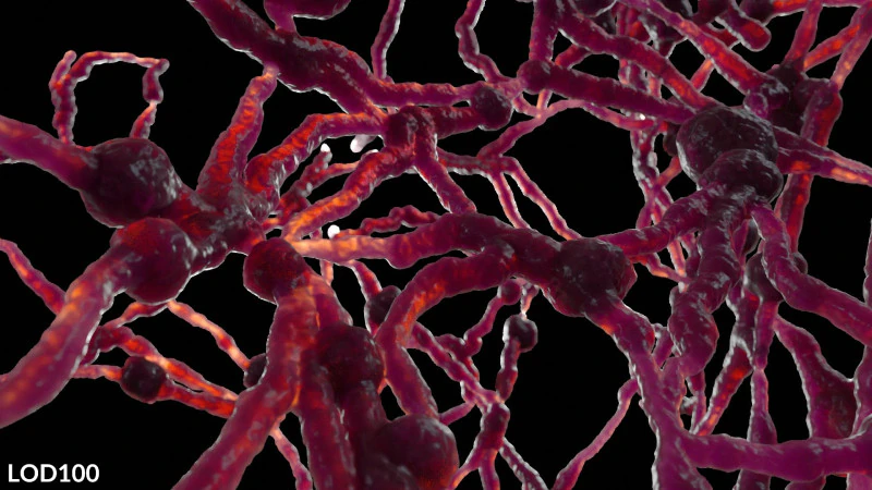 Organic Tissue 3D Model .c4d .max .obj .3ds .fbx .stl .blend
