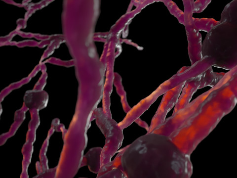 Organic Tissue Modelo 3D
