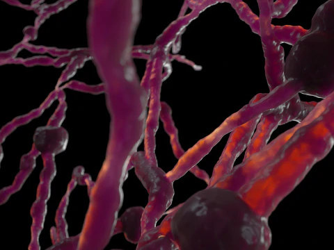 Organic Tissue 3D Model