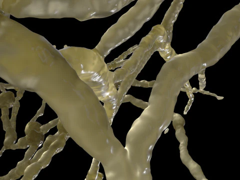 Organic Tissue 3D Model