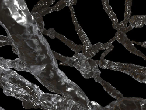 Organic Tissue 3D Model