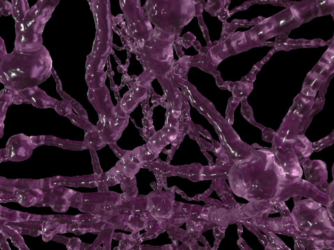 Organic Tissue Modelo 3D